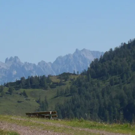Gasthof-pension Strassreith Werfenweng
