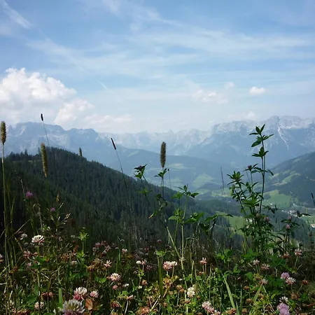Gasthof-pension Strassreith Guest house Werfenweng